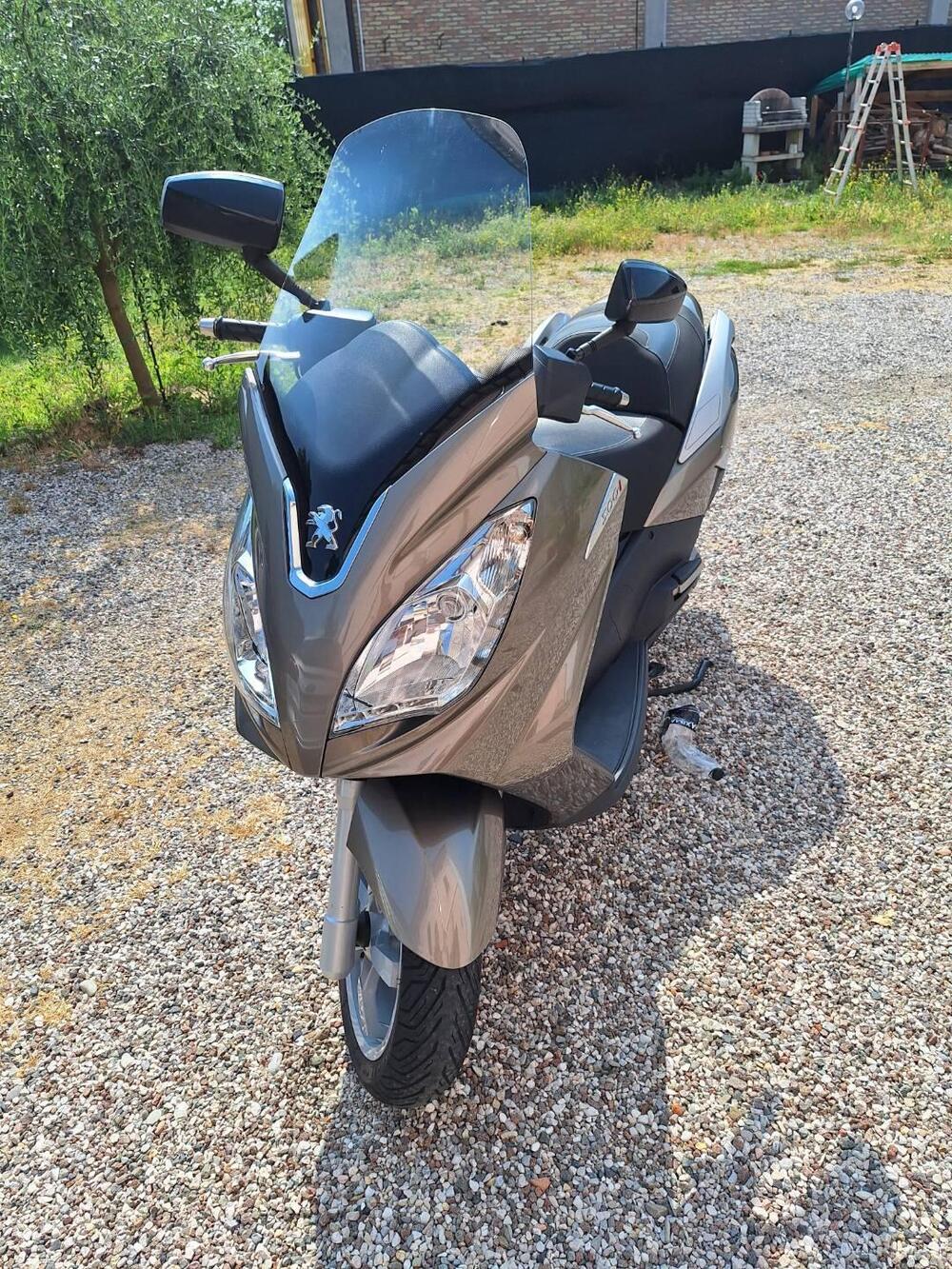 Peugeot Satelis 300 (2013 - 16) (2)