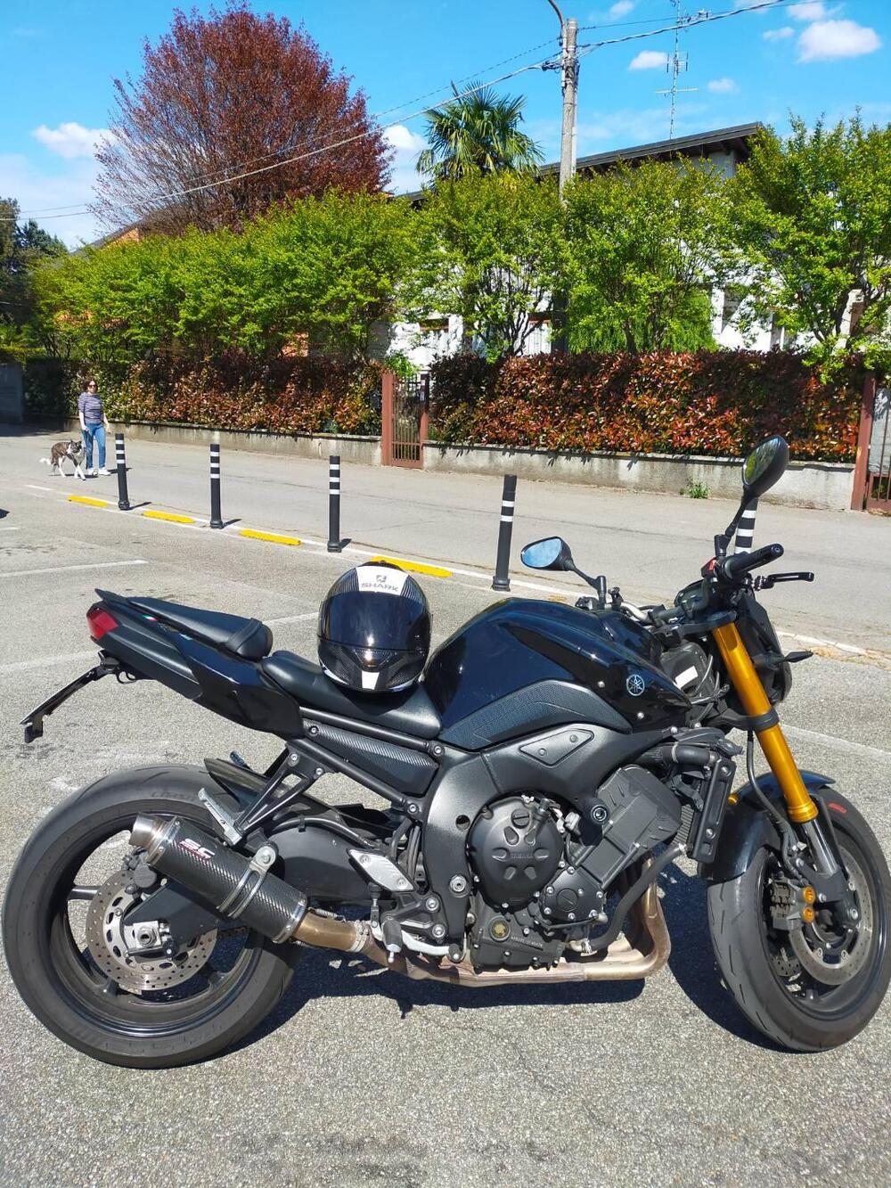 Yamaha FZ8 (2010 - 12)