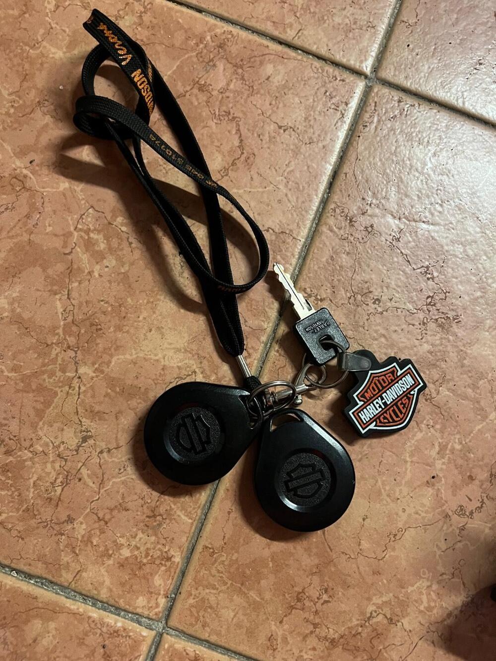 Harley-Davidson 1200 Forty-Eight (2010 - 15) (13)