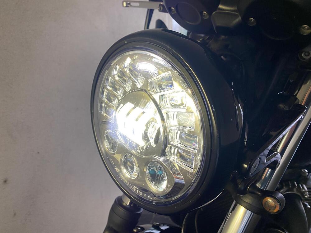 Triumph Street Cup 900 (2017 - 19) (8)