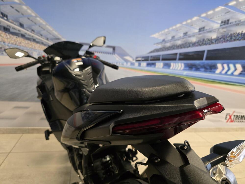 Kawasaki Ninja 500 SE (2024 - 26) (19)