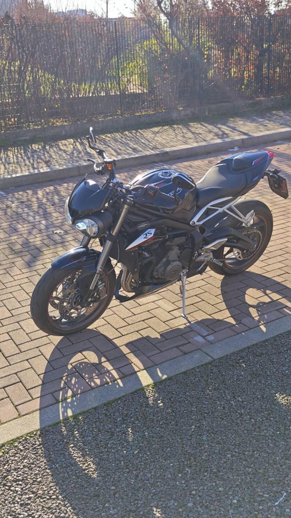 Triumph Street Triple RS (2017 - 19) (13)