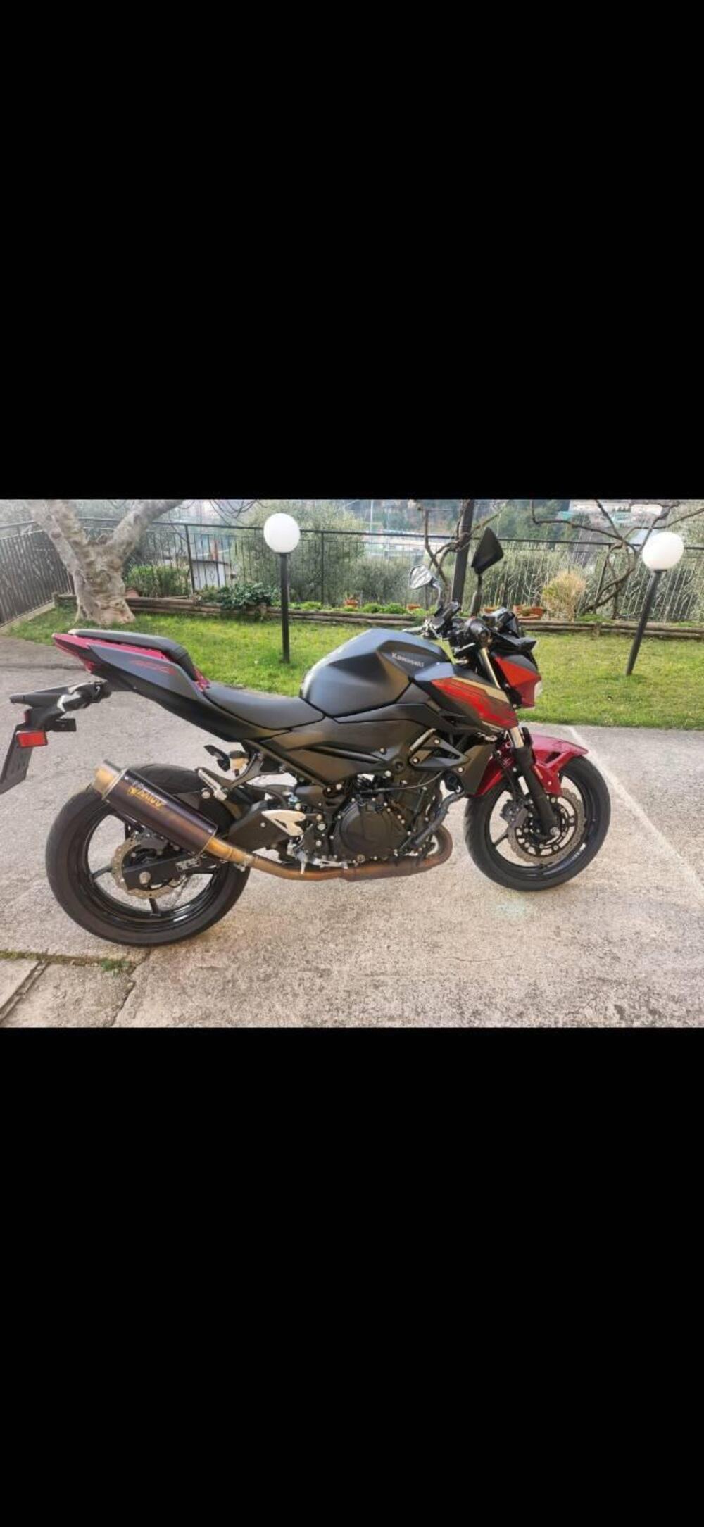 Kawasaki Z 400 (2019 - 20) (2)