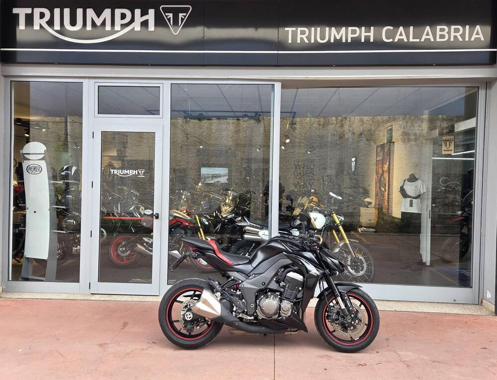 Kawasaki Z 1000 ABS (2014 - 16) (3)