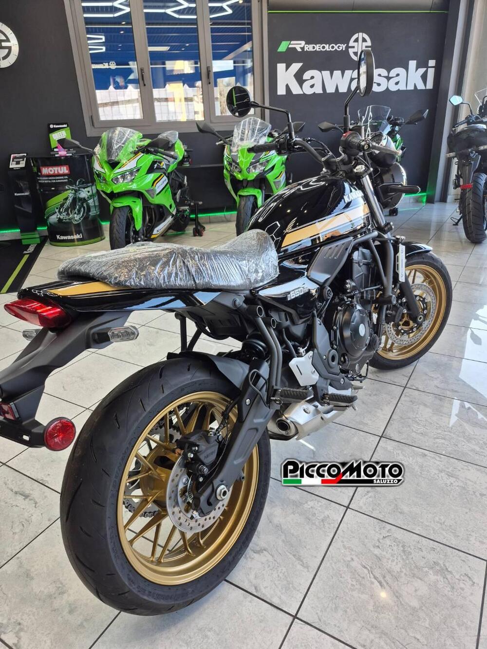 Kawasaki Z 650 RS (2025 - 26) (9)