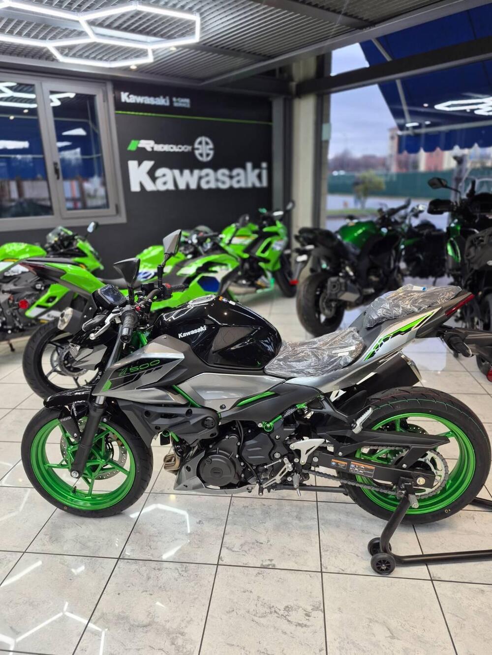 Kawasaki Z 500 SE (2024 - 26)