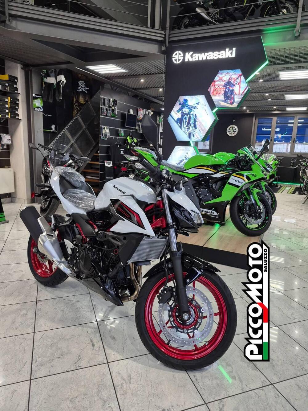 Kawasaki Z 500 SE (2024 - 26) (6)