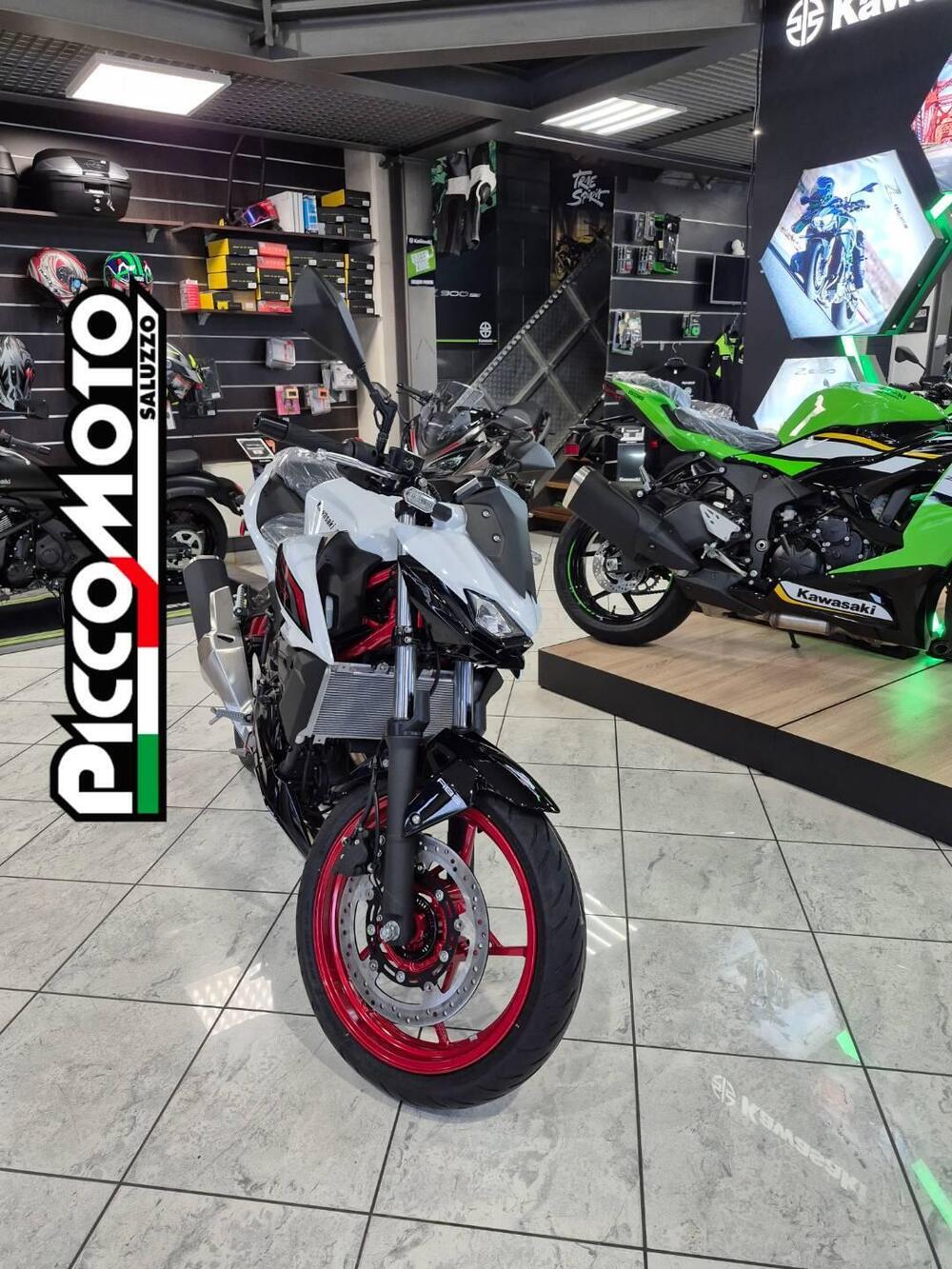 Kawasaki Z 500 SE (2024 - 26) (7)