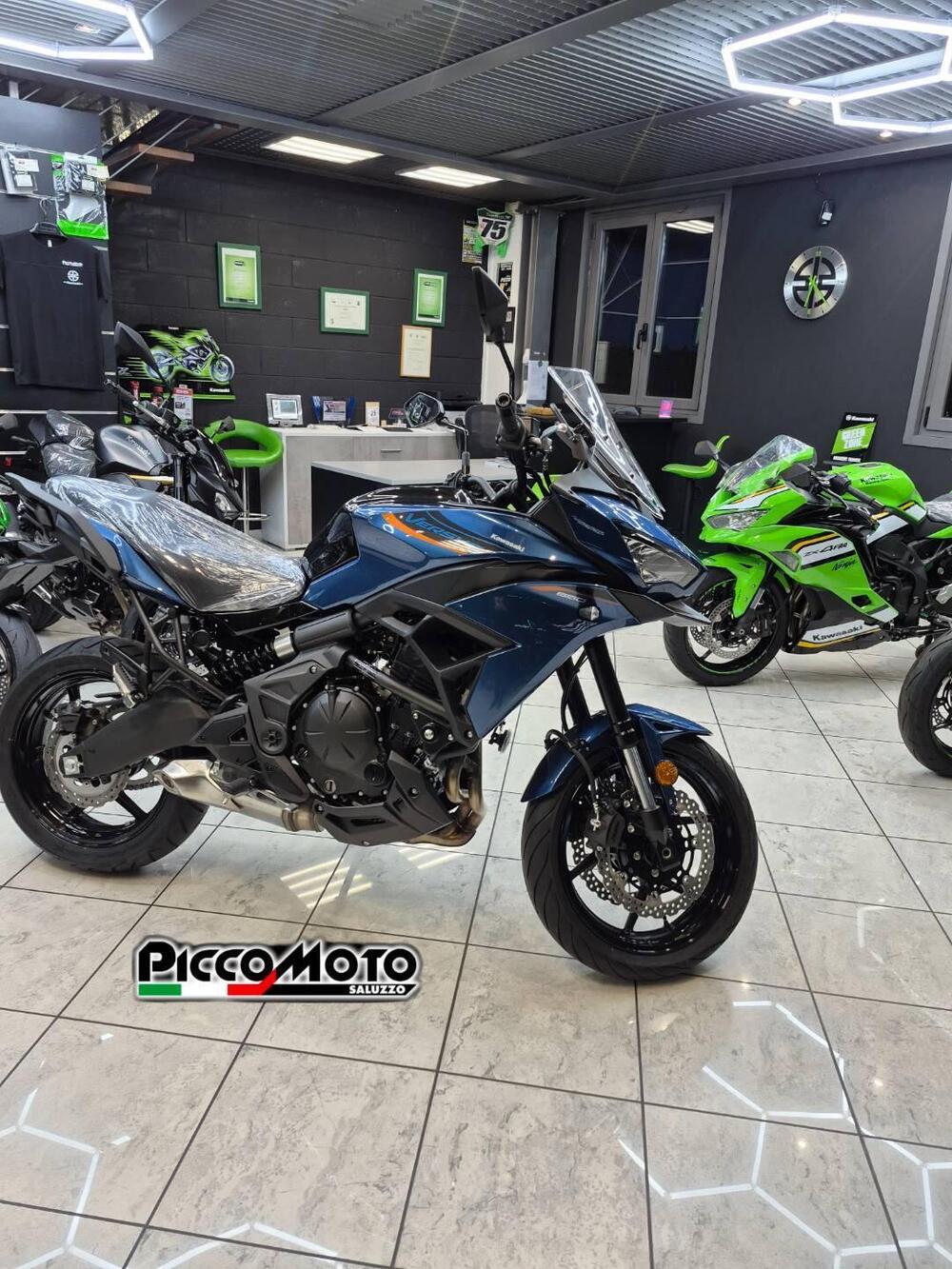 Kawasaki Versys 650 (2025 - 26) (18)