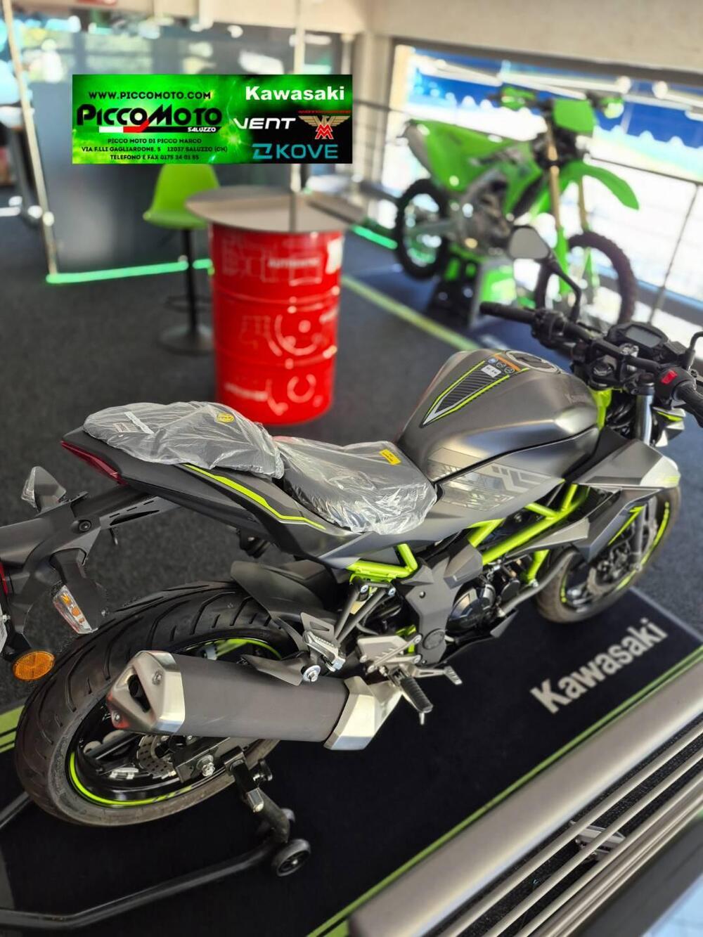 Kawasaki Z 125 (2025 - 26) (3)