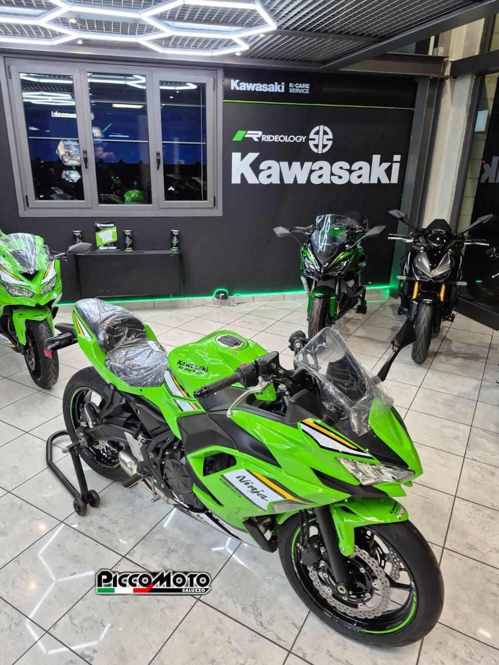 Kawasaki Ninja 650 (2025 - 26) (2)