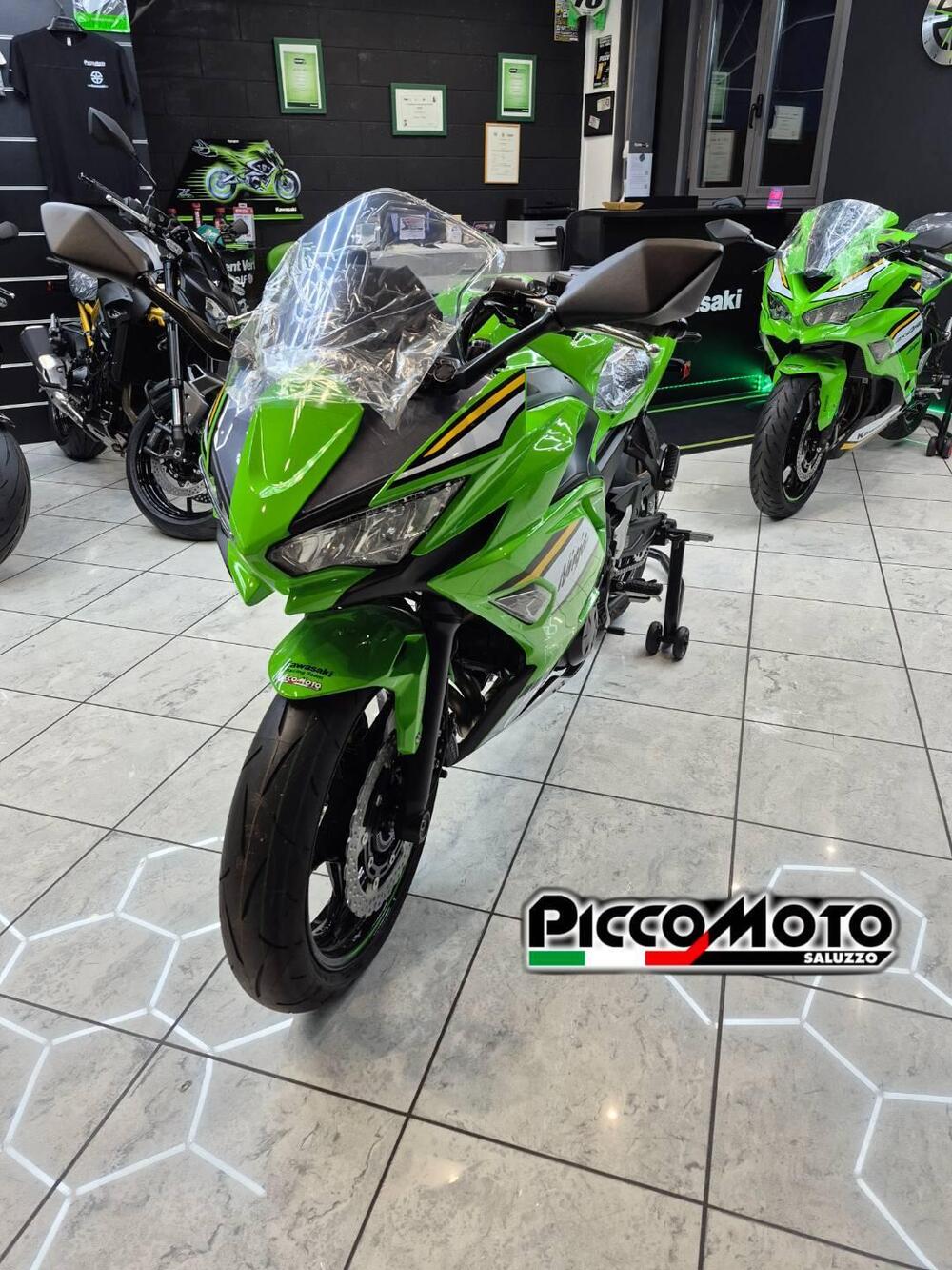 Kawasaki Ninja 650 (2025 - 26) (4)