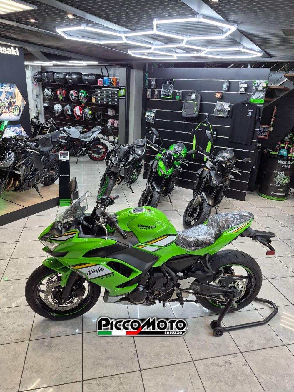 Kawasaki Ninja 650 (2025 - 26) (6)