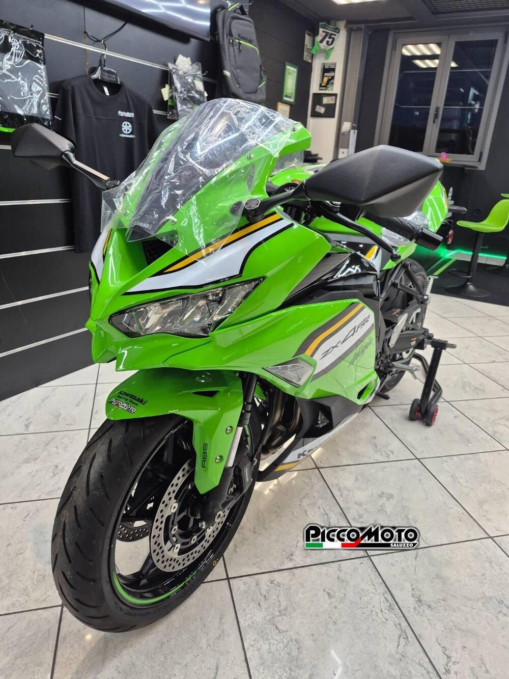 Kawasaki Ninja ZX-4RR (2024 - 26) (12)