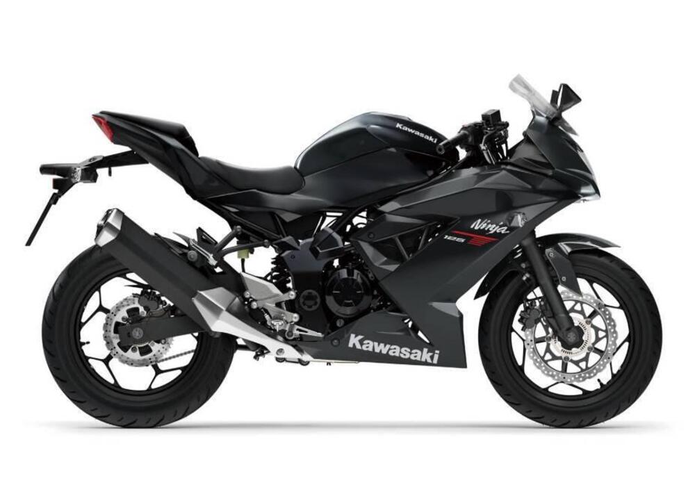 Kawasaki Ninja 125 (2021 - 24) (9)