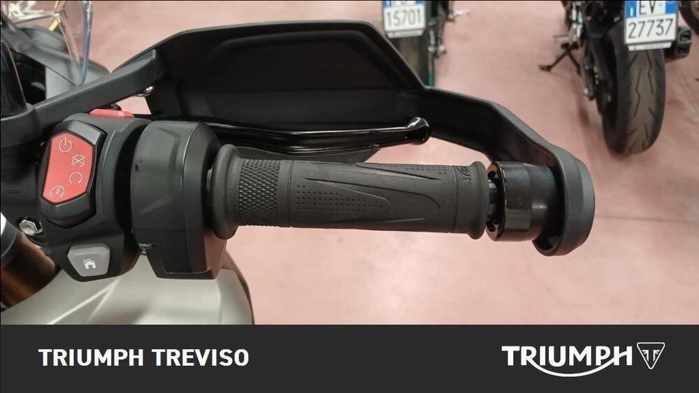 Triumph Tiger 1200 Rally Pro (2024 - 25) (4)