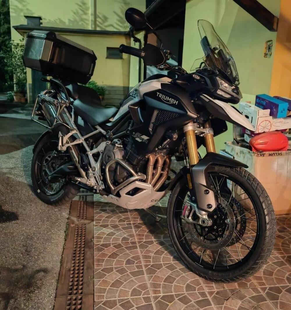 Triumph Tiger 1200 Rally Pro (2024 - 25) (3)