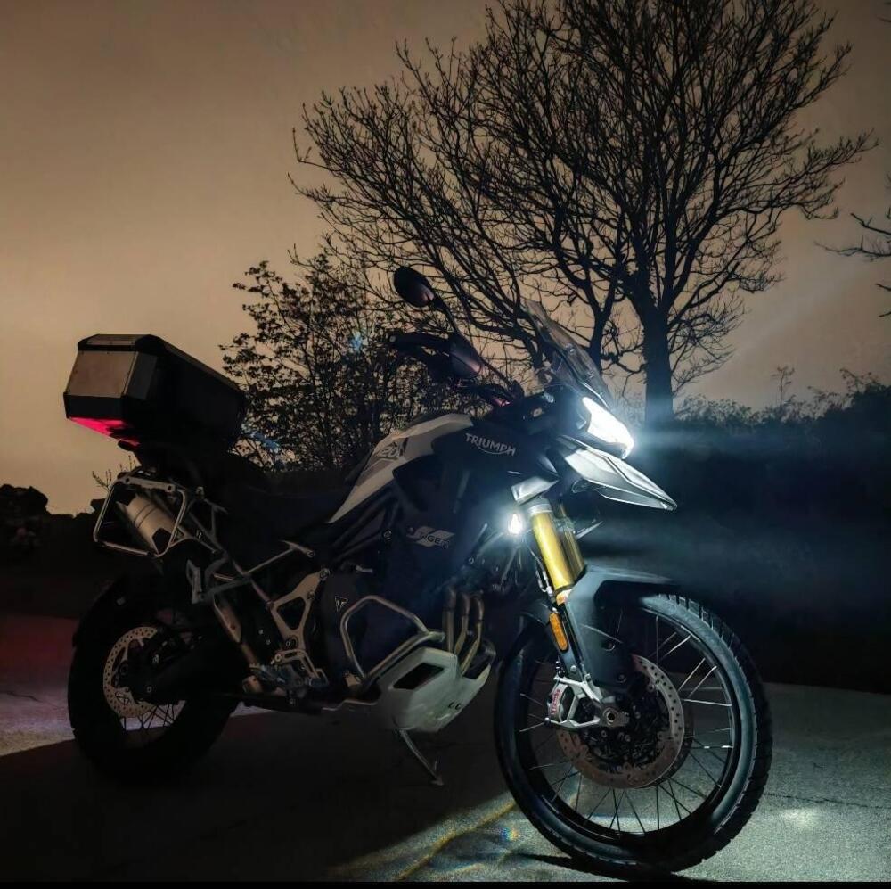 Triumph Tiger 1200 Rally Pro (2024 - 25) (4)