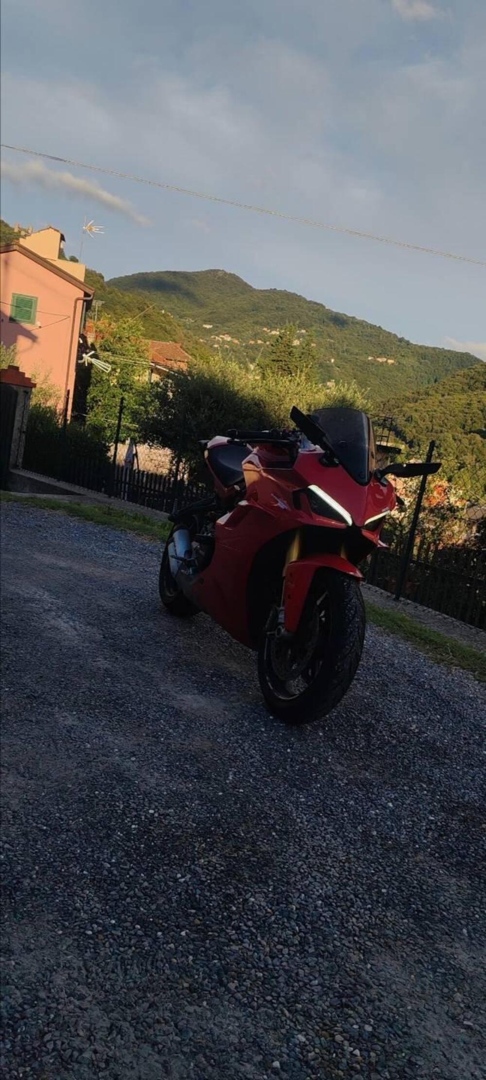 Ducati SuperSport 950 S (2021 - 24) (6)