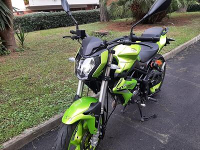 Benelli BN 125 (2021 - 25) usata