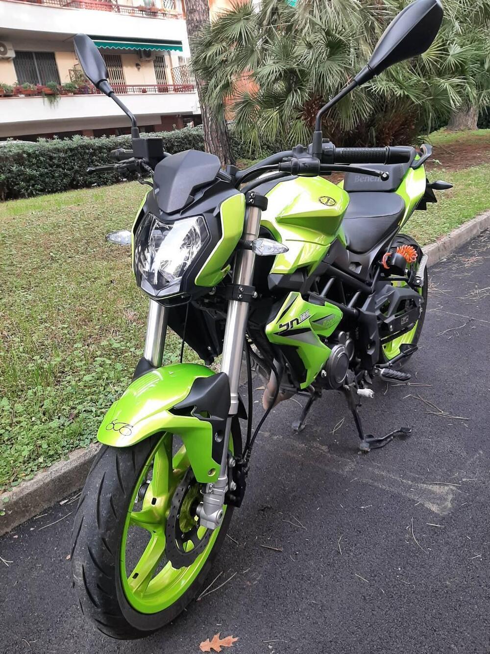 Benelli BN 125 (2021 - 25) (2)