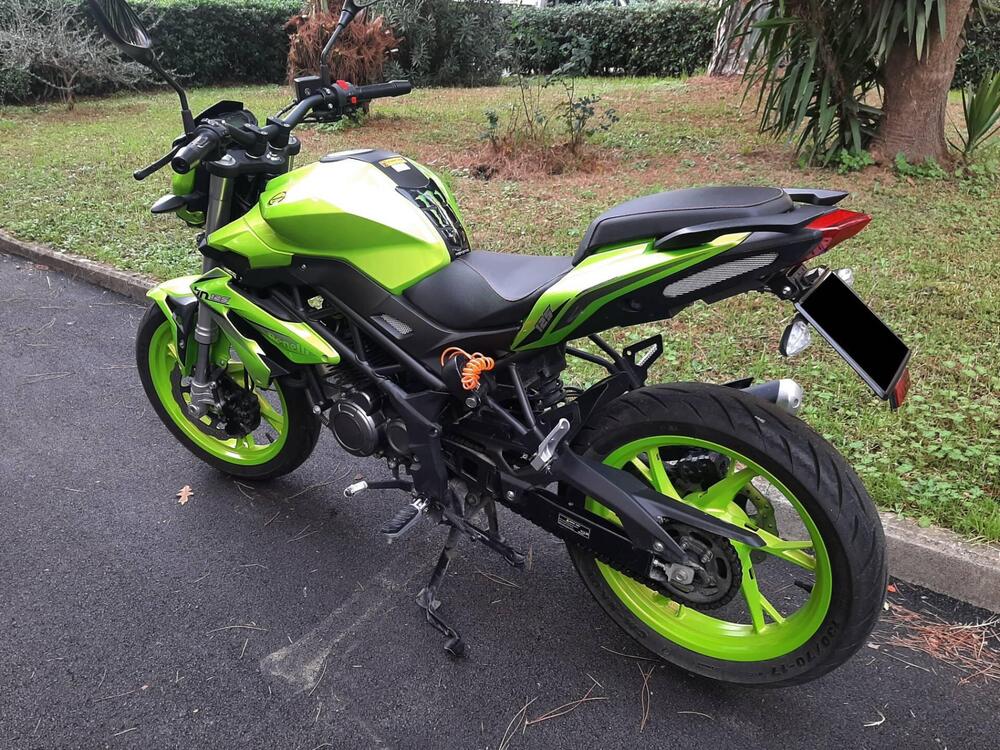 Benelli BN 125 (2021 - 25) (8)