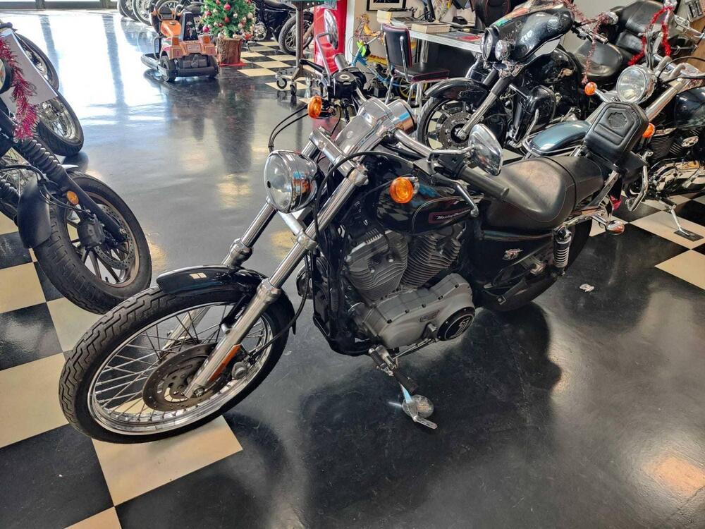 Harley-Davidson 883 Custom (2006 - 07) - XL 883C (6)