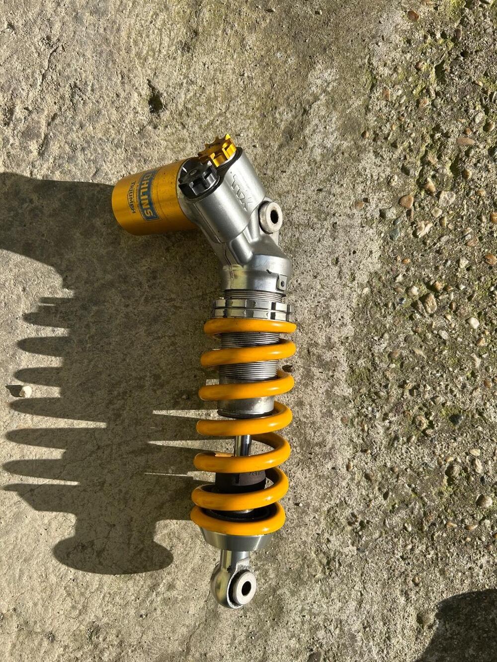 Triumph Speed 400 (2024 - 25)