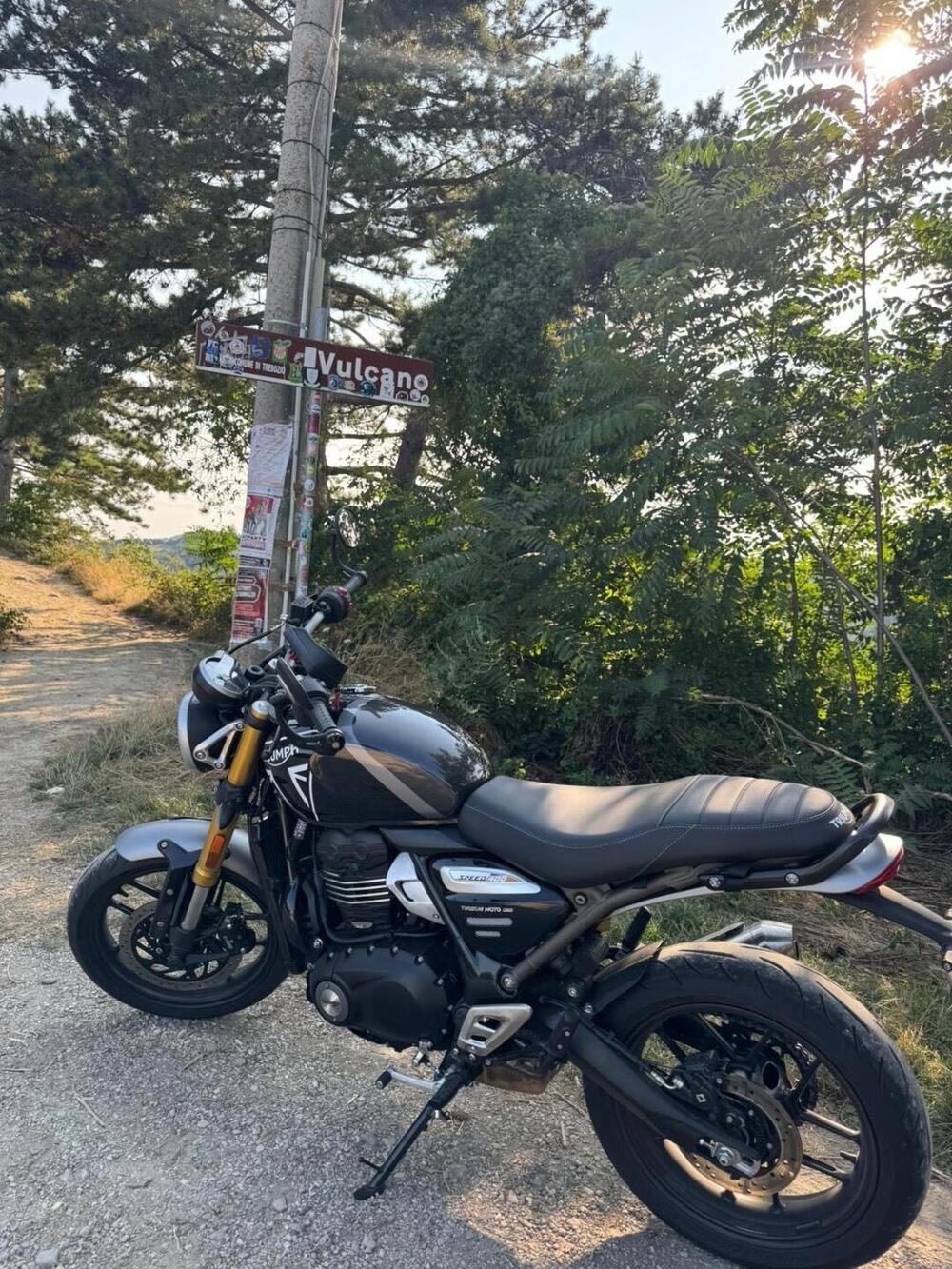 Triumph Speed 400 (2024 - 25) (12)