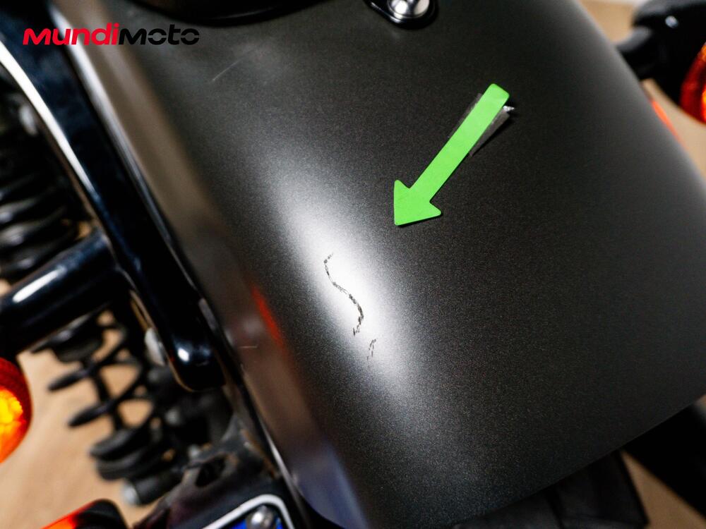 Harley-Davidson 883 Iron (2012 - 14) - XL 883N (14)