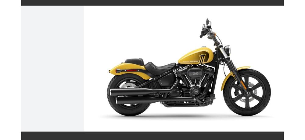 Harley-Davidson Street Bob 114 (2021 - 24)