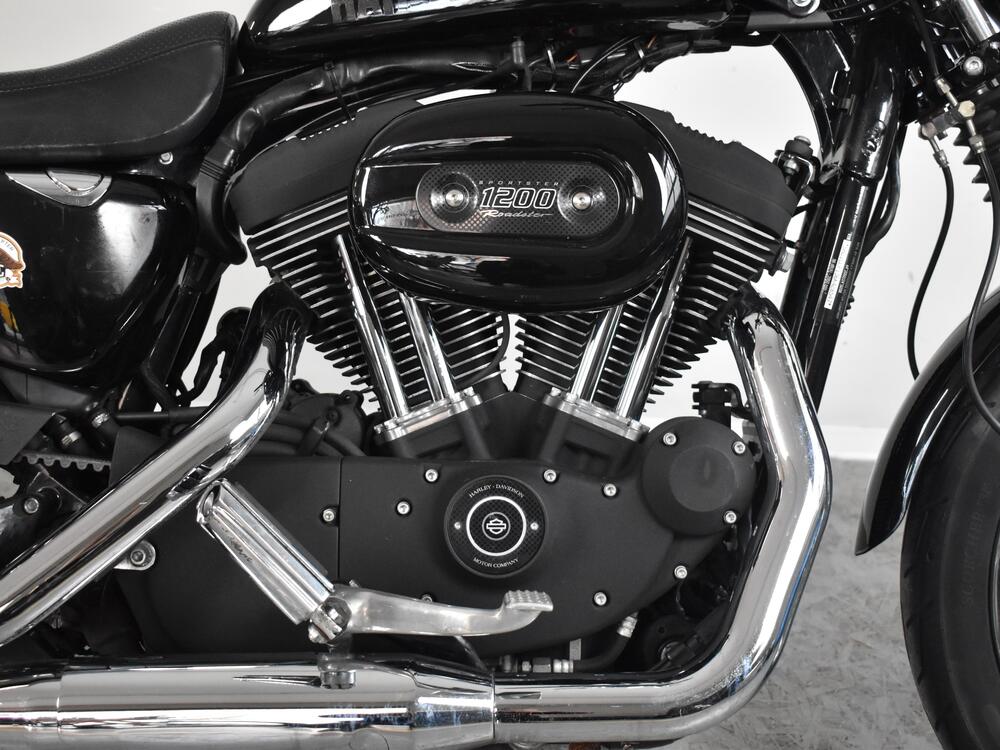 Harley-Davidson 1200 Roadster (2006 - 08) - XL 1200R (11)