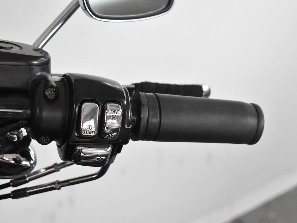 Harley-Davidson 1200 Roadster (2006 - 08) - XL 1200R (16)