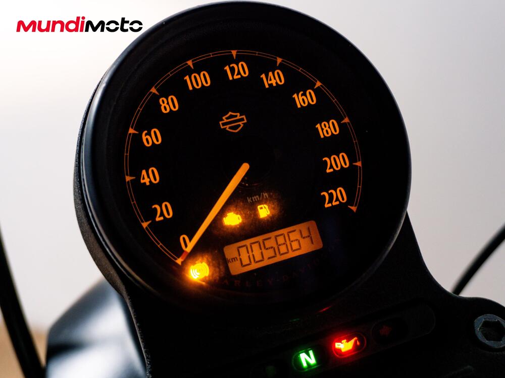 Harley-Davidson 883 Iron (2012 - 14) - XL 883N (12)