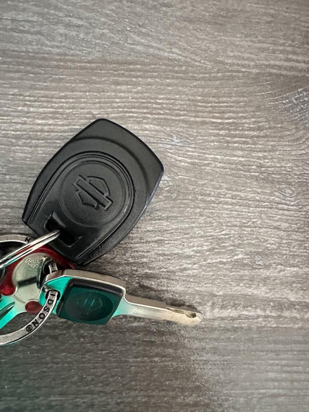 Harley-Davidson Pan America 1250 Special (2020 - 25) (17)