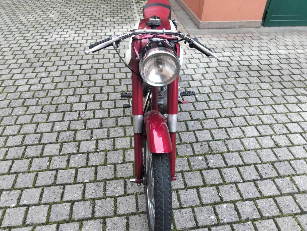 Ducati 125 ts (6)