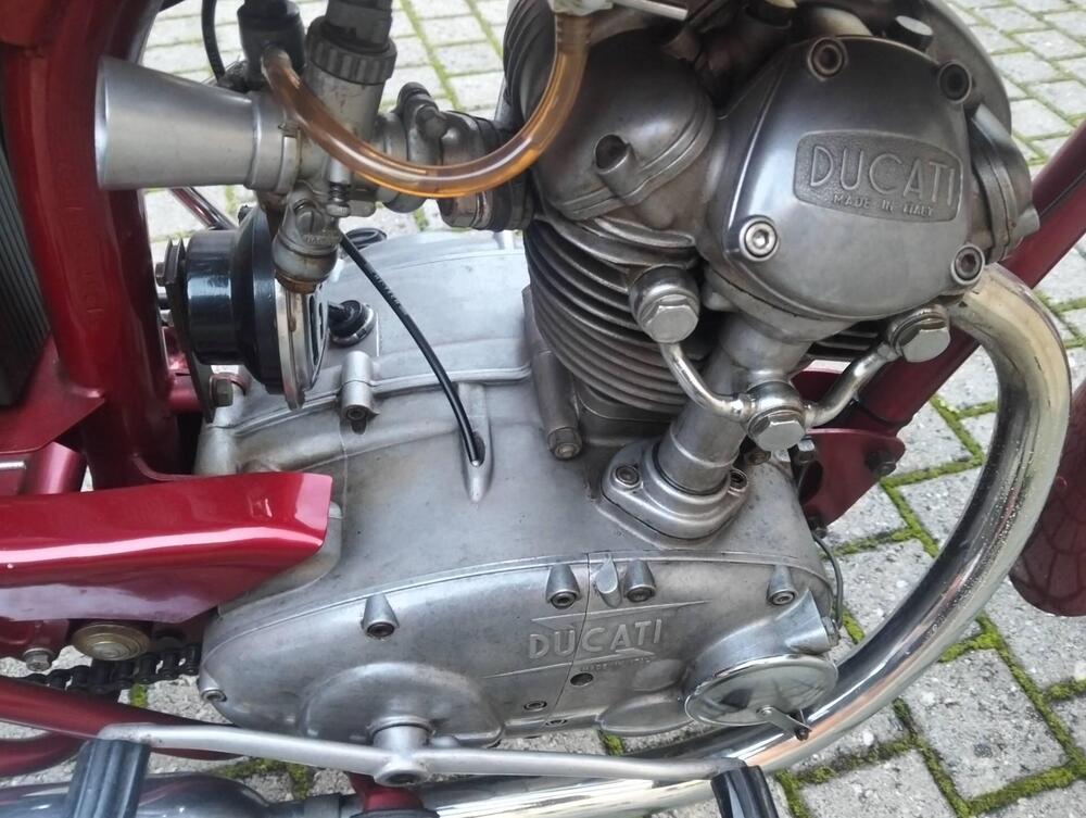 Ducati 125 ts (7)