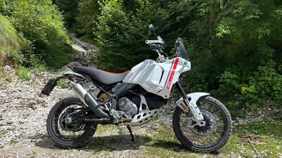 Ducati DesertX (2022 - 25) usata