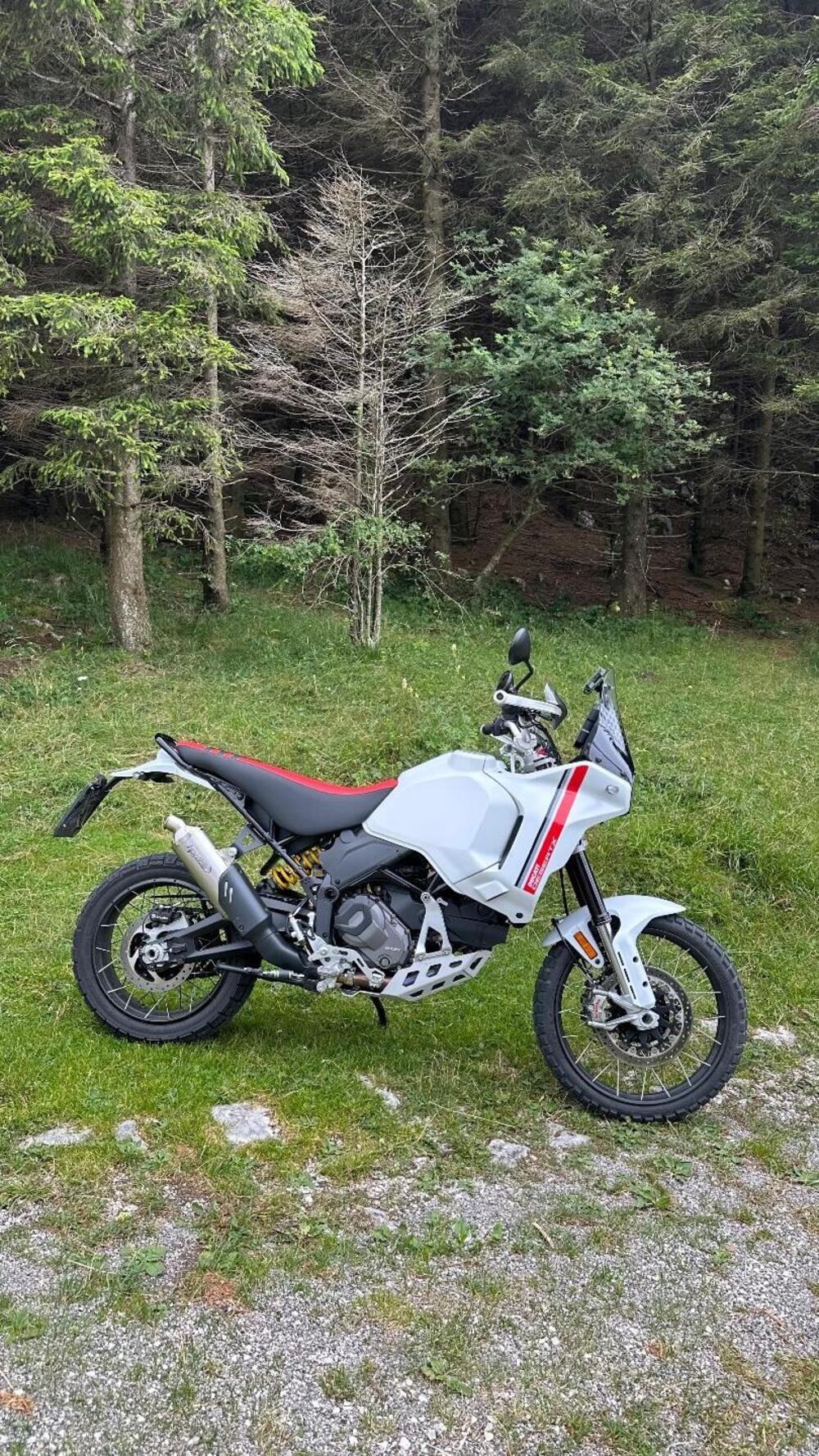 Ducati DesertX (2022 - 25) (3)