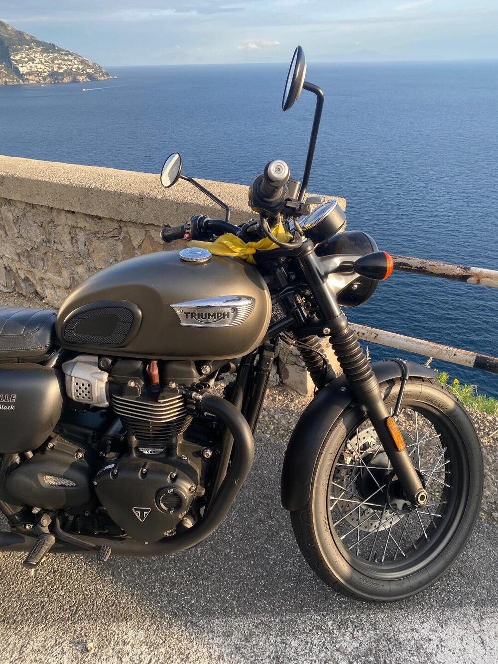 Triumph Bonneville T100 Black (2017 - 20) (2)