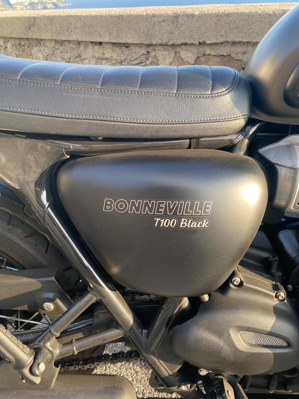 Triumph Bonneville T100 Black (2017 - 20) (4)