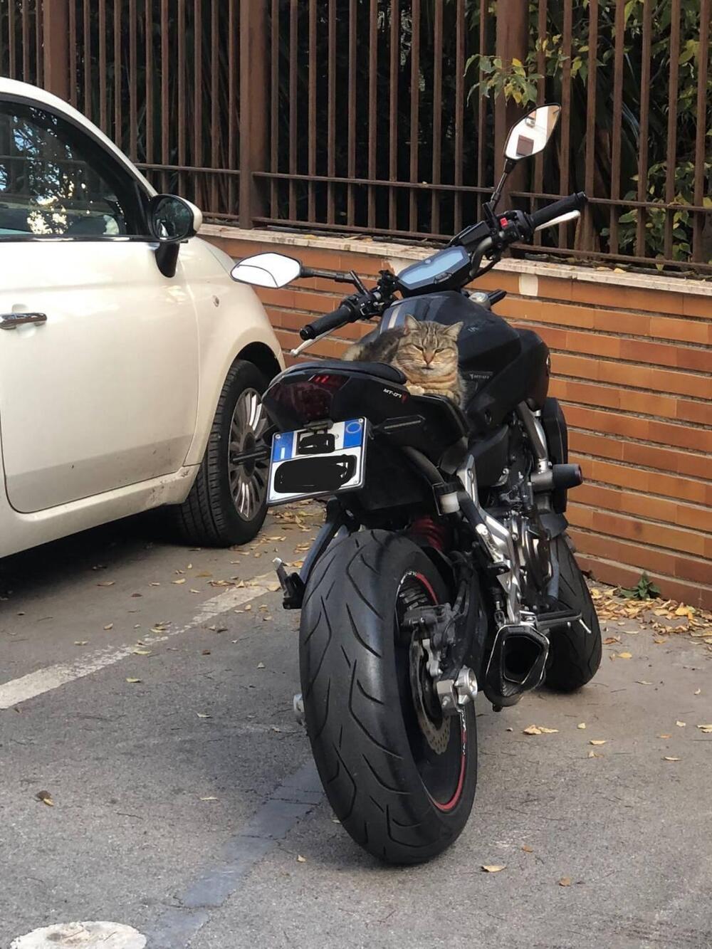 Yamaha MT-07 (2014 - 16) (2)