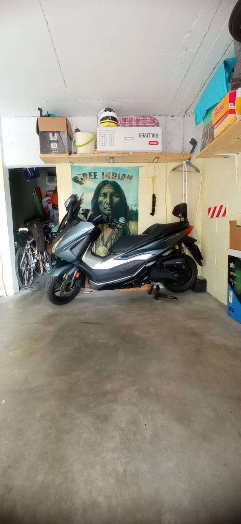 Honda Forza 350 (2022 - 24) (3)