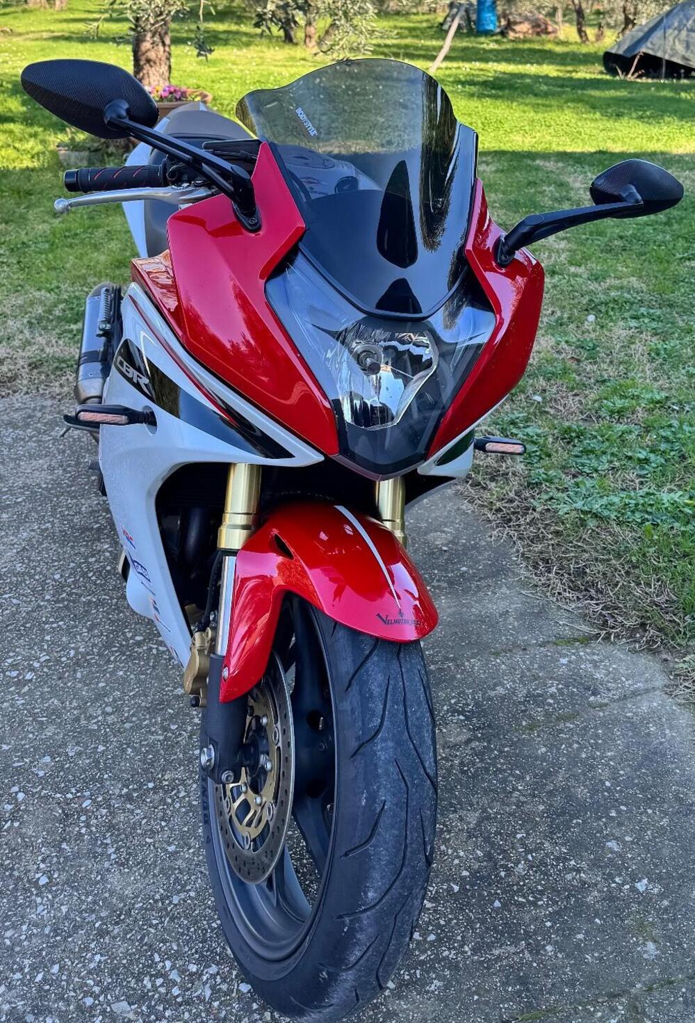 Honda CBR 600 F (2011 - 13) (4)