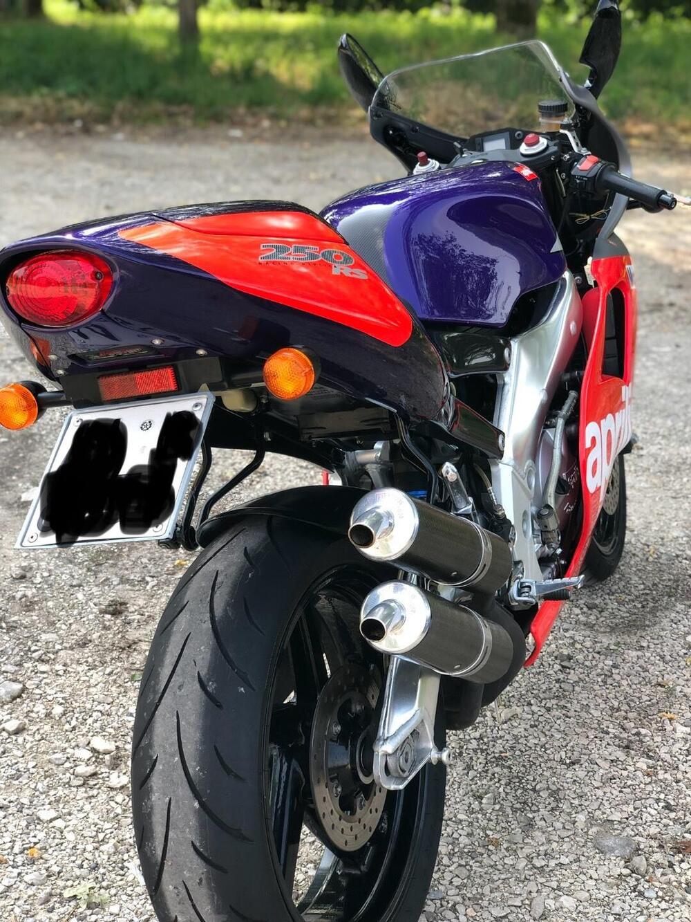 Aprilia RS 250 (1995 - 98) (3)