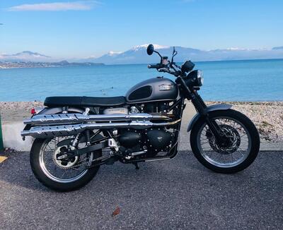 Triumph Scrambler (2006 - 17) usata
