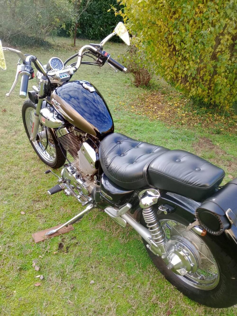 Yamaha XV 535 DX Virago (1998 - 04) (2)