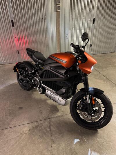 Harley-Davidson LiveWire (2019 - 22) usata a Torino