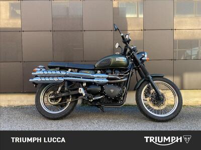 Triumph Scrambler (2006 - 17) usata