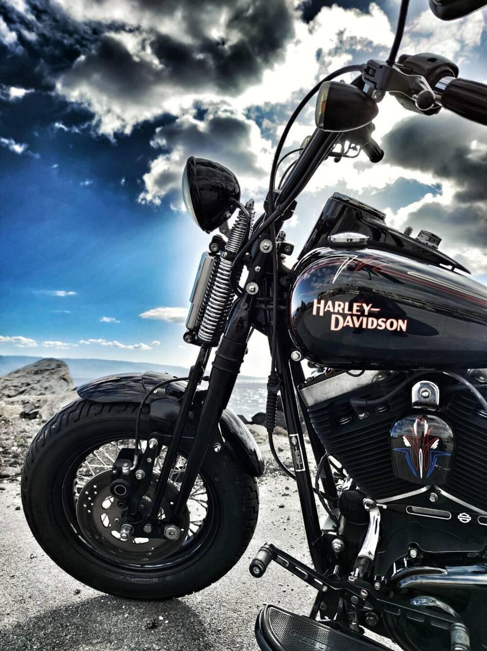 Harley-Davidson 1584 Cross Bones (2008 - 11) - FLSTSB (3)